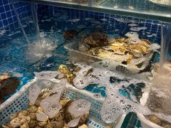 -福匠日本料理(人民路店)