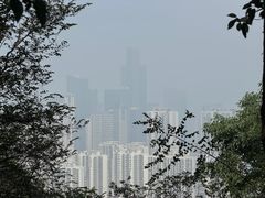 -桃花岭景区