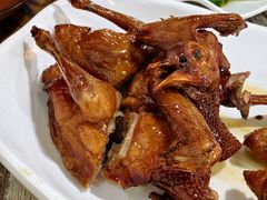 -东鸽皇(奥园·中环广场店)