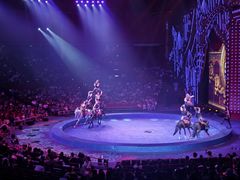 -珠海横琴长隆《卡卡虎奇遇记》