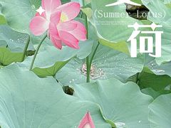 -迎泽公园