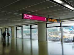 -郑州新郑国际机场-T2航站楼