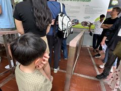 -圣淘沙天际线斜坡滑车