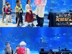 -顺德南宏海立方海洋公园