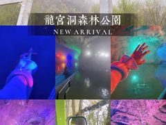 -龙宫洞风景区