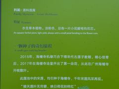 -云溪植物园