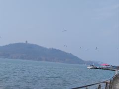 -水上明月·湖景餐厅