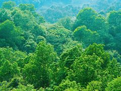 -麓湖高尔夫球俱乐部