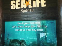 -悉尼海洋生物水族馆