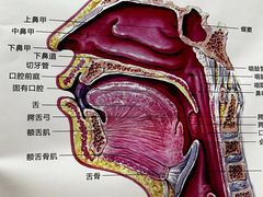 -乐尚音乐空间·钢琴·声乐·架子鼓(会展中心店)