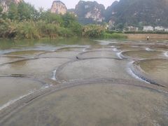 -明仕田园