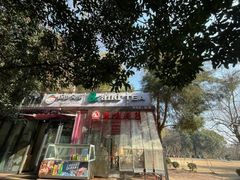 -鸡鸣汤包(红山动物园店)