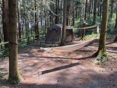 -重庆睡佛山森林公园