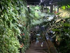 -森味薪火烧•烧鸟居酒屋•日本料理(望京店)