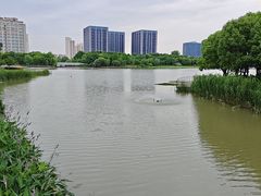 -南翔镇银翔湖公园