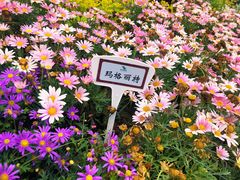 -郑州植物园