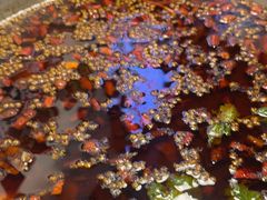 -味之绝热血美蛙鱼火锅(中坝店)