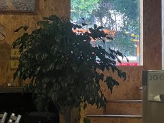 -吾叁·吉趣鸟咖(万科店)