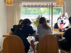 -竹子咖啡bamboo coffee
