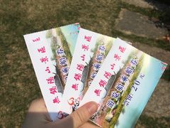 -桃花岛景观公园