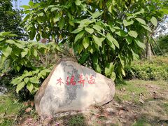 -枫香湖儿童公园