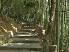 -敬亭山风景名胜区