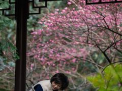 -十八棵（老龙井）御茶园(老龙井店)