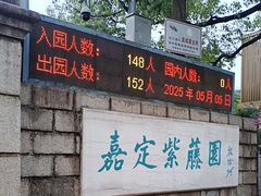 -嘉定紫藤园