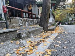 -龙井村