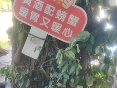 -水岸居湖景农家乐·阳澄湖大闸蟹