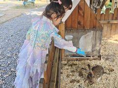 -HERRE·FARM 赫尔露营农场·团建聚会包场