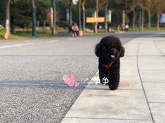 -尚贤河湿地