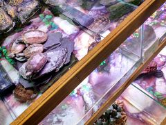 -龟与熊猫宠物公园(南坪店)