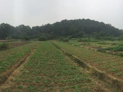-南山风景名胜区
