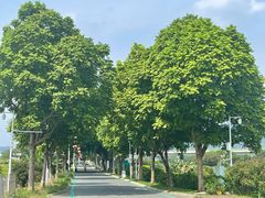 -光明小镇欢乐田园