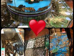 海珊瑚主题餐厅(湛江店)-御唐府海珊瑚主题餐厅