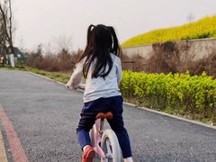 -稚马儿童平衡车自行车俱乐部
