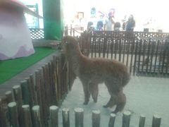 android_upload_pic-开元商城(西旺店)
