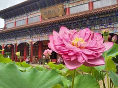 -皇罗禅寺