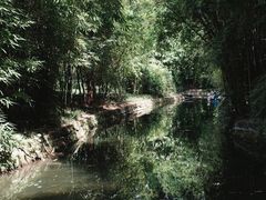 -望江楼公园