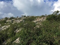 -长虫山生态公园风景林
