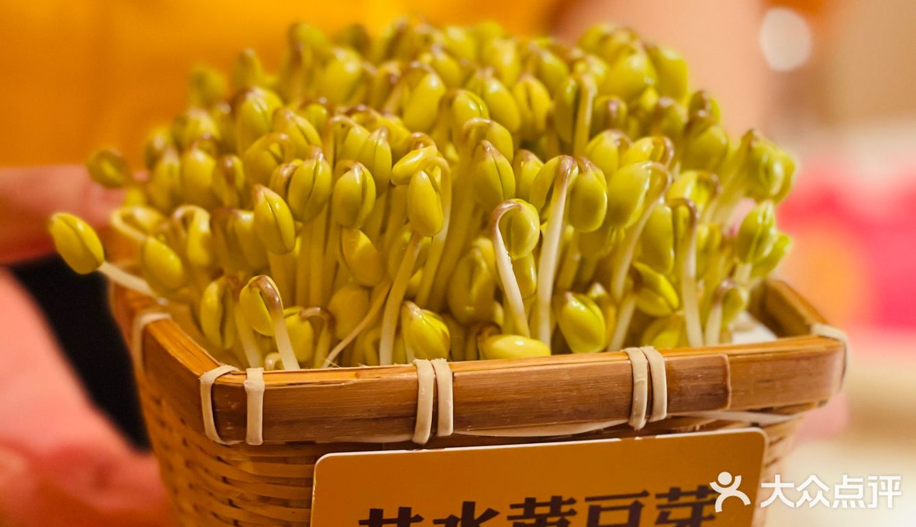 解锁魔都连锁火锅口味榜第一的毛肚火锅！
