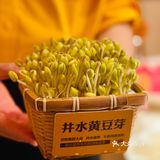解锁魔都连锁火锅口味榜第一的毛肚火锅！