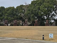 -上海月湖雕塑公园