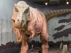 -国家自然博物馆