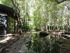 -大鹅岛绿色生态美食园
