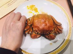 -王宝和酒家(黄浦店)