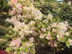 -南通洲际绿博园