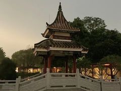 -顺峰山公园
