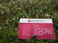 -成都市双流区中医医院(新院区)